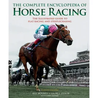 Horse Racing Betting Sites with the Best In-Play Features