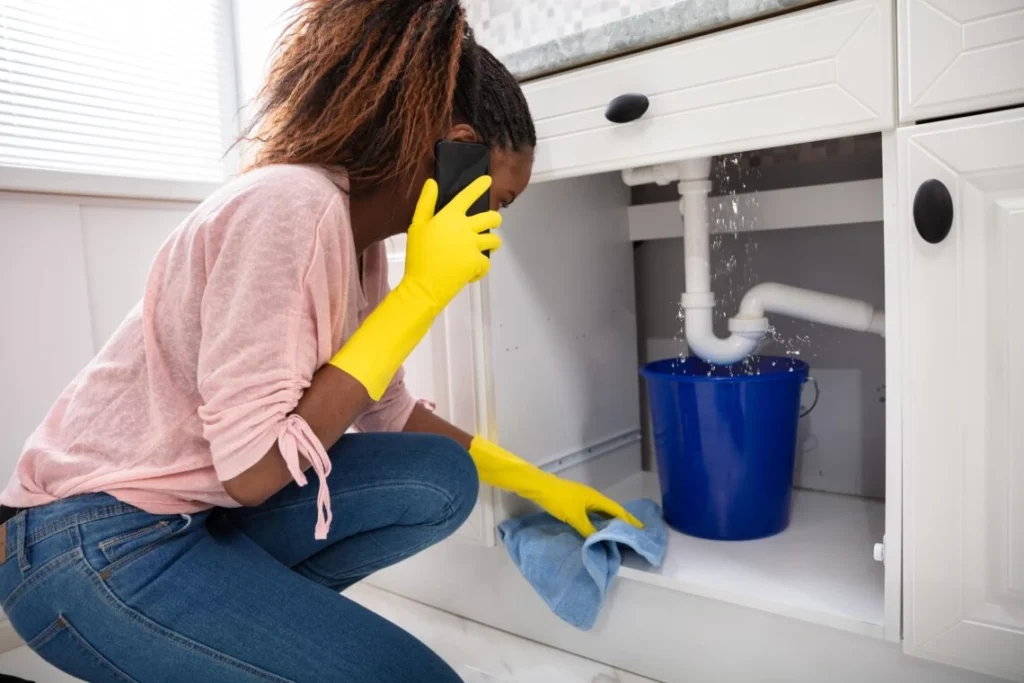 Effective Kitchen Leak Fixes Every Paignton Homeowner Should Know