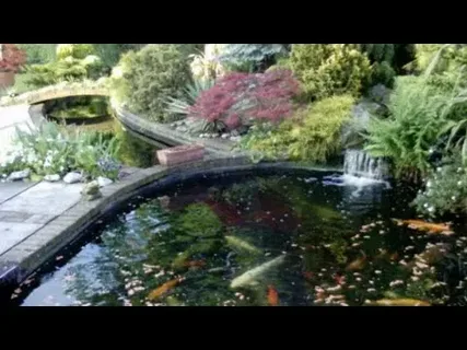 Effective Garden Pond Maintenance for Homes in Kent