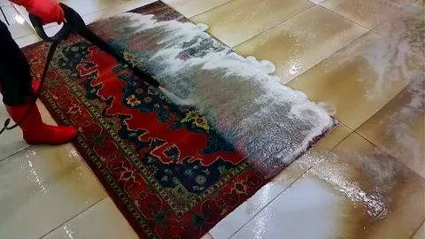 My Great Experience With Happy Clean in Dublin – From Dirty Carpets to Like New